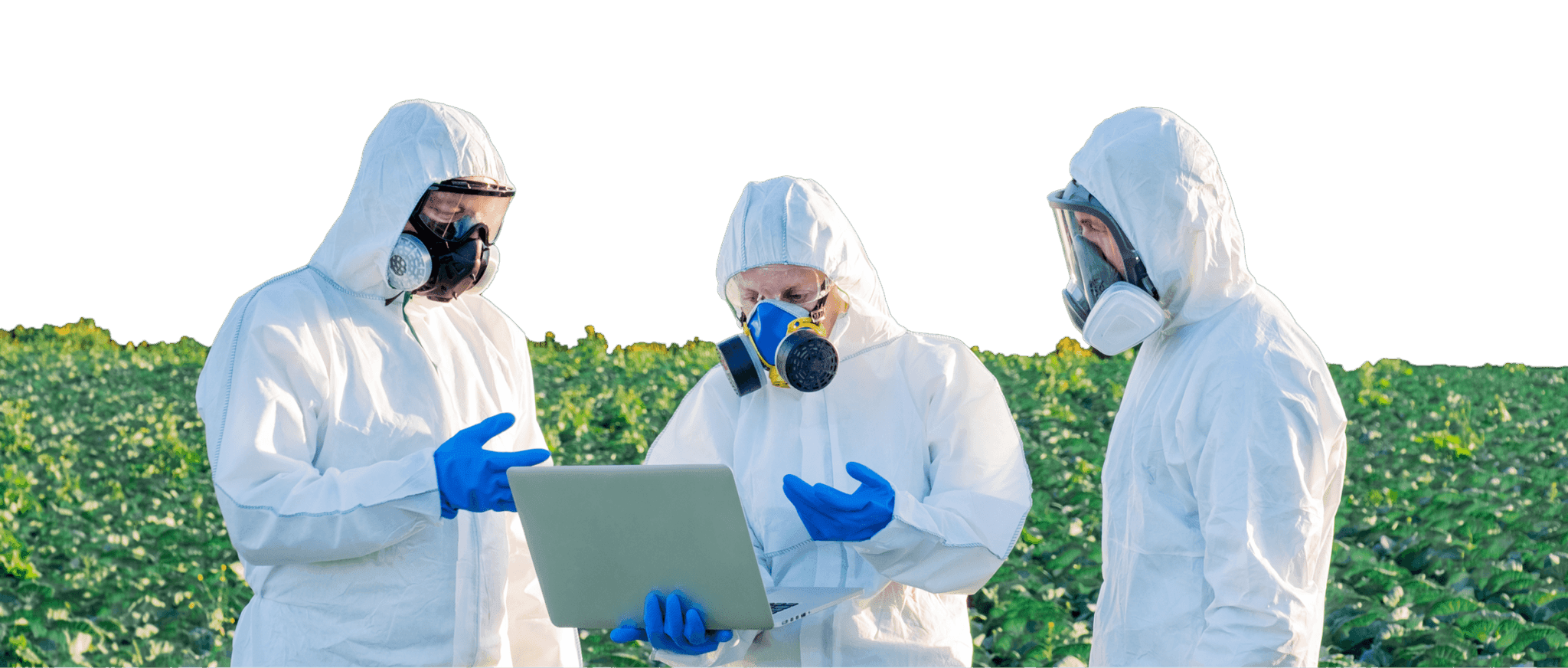 Binghamton Pest Control Professional Team